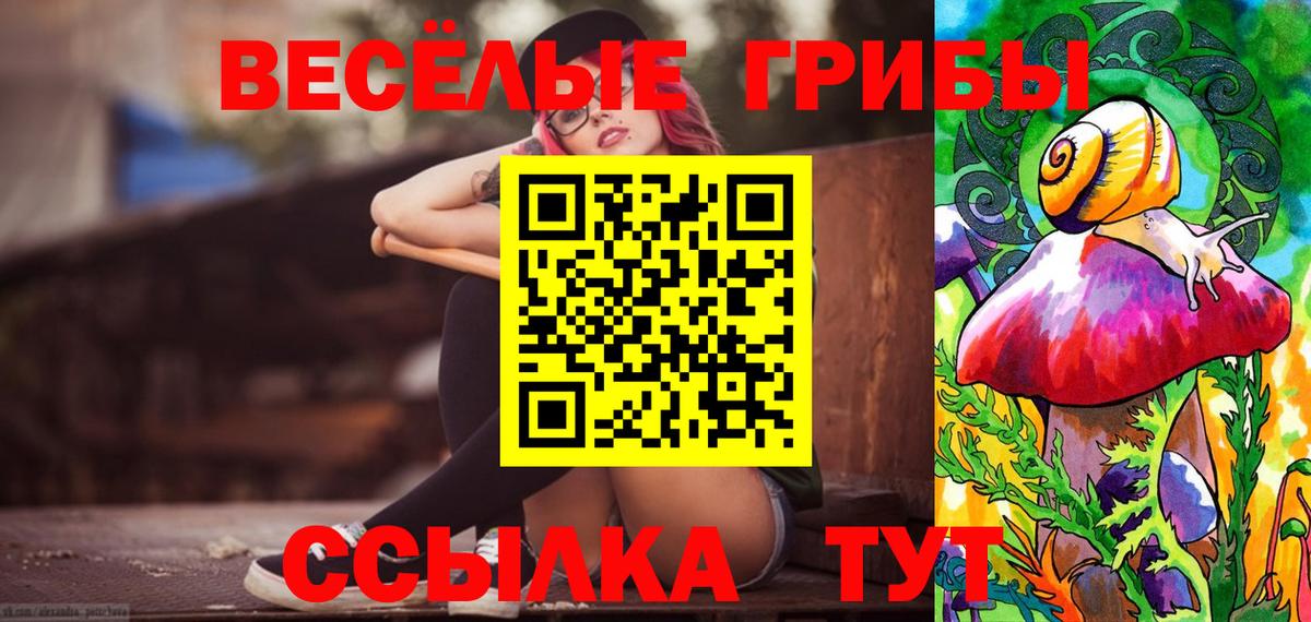 Псилоцибиновые грибы Psilocybe Трёхгорный